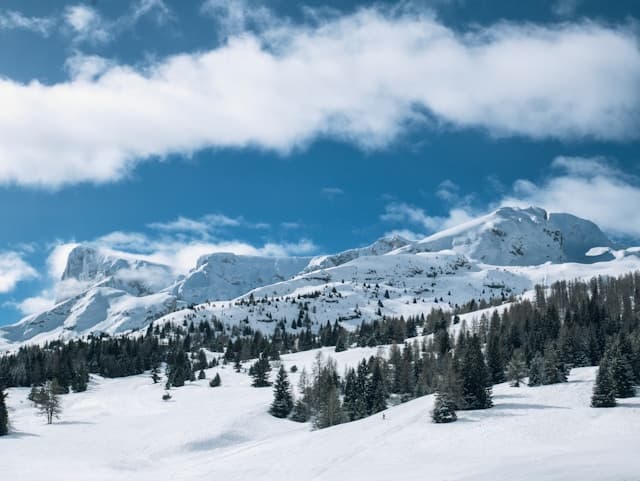 Comment la randonnée en montagne peut-elle stimuler votre créativité pour la rédaction de mémoire ?